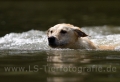 09 Wasseraction